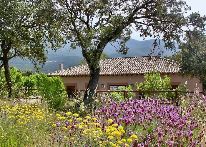 Casa Rural La Joyona